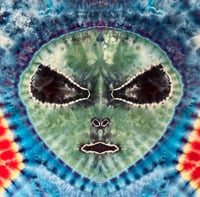 Image 3 of Aliens are Real! - 60 x 90" Tapestry - 1/1