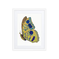 Image 2 of Framed poster of Butterfly
