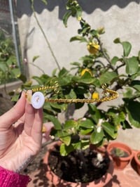 Image 4 of Gold Button Choker