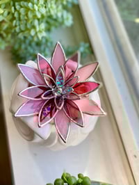 Image 3 of **PRE SALE** Succulent Glass Plant - Potted