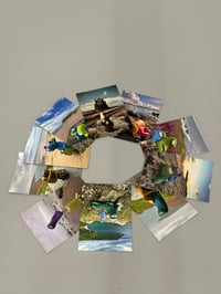 Image 12 of Tattoed Sailor and seagull 