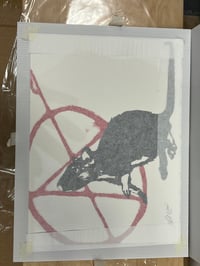 Image 5 of Anarchist 2020