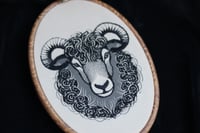 Image 1 of Black sheep of the family