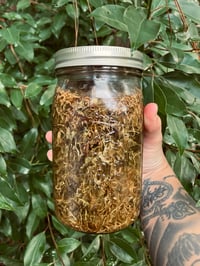 Image 2 of Healing Salve