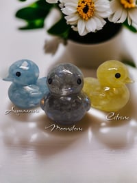 Image 1 of Set of 3 Natural Crystals in Resin OlllllO Ducks Ceramic Coated with Ducking Cards 'Lucky Ducks'