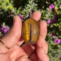 Image 2 of Tigers Eye Tree 🌳💛
