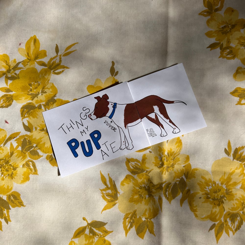 Things My Pup Ate