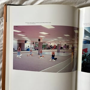 Image of Domino's Mansion: Thomas Monaghan, Gunner Birkerts And The Spirit Of Frank Lloyd Wright