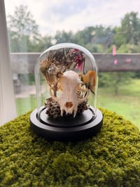 Image 4 of Honeycomb Kitty Cloche