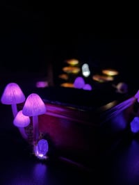 Image 3 of Wooden heart box mushroom led