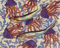 Image 1 of Sardines & Jellyfish Print