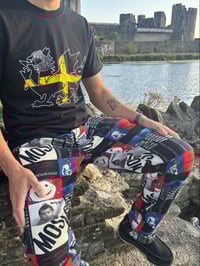 Image 2 of St David’s Dragon