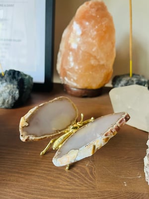 Image of Natural agate butterfly 