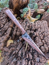 Image 1 of WALNUT MICRO FIGHTER