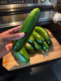 Image 5 of Beit Alpha Cucumber - 25 Seeds