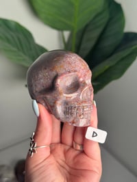 Image 4 of CHOOSE YOUR OWN PINK SEA JASPER SKULL -MADAGASCAR-