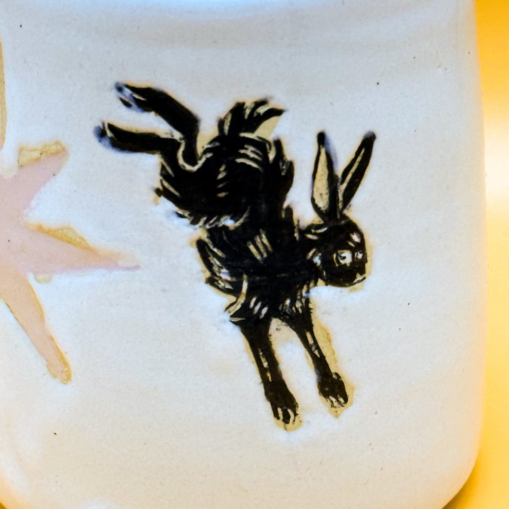 image of rabbit starburst vessel