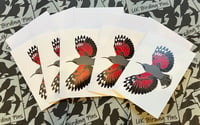 Image 3 of UK Birding Cards - Various Designs