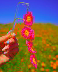 floreciendo