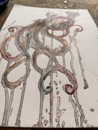 Image 2 of Poulpe 
