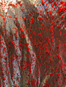 Image 2 of V-amplified