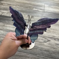 Image 4 of Fluorite Butterfly Wings 🦋