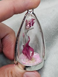 Image 2 of Fiammella di Avalon rosa