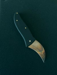 Image 1 of Esquincle W XL (folder)