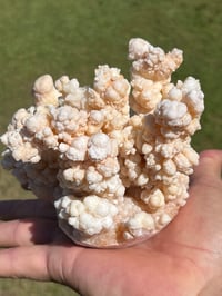 Image 7 of Calcite Crystal Cluster Reef Formation Specimen #1235