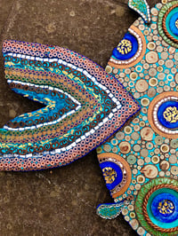 Image 3 of King Round Fish