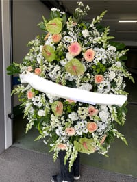 Image 5 of Corona Funeral Dos Cabezales