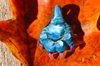 Image 3 of Ocean Paw #2