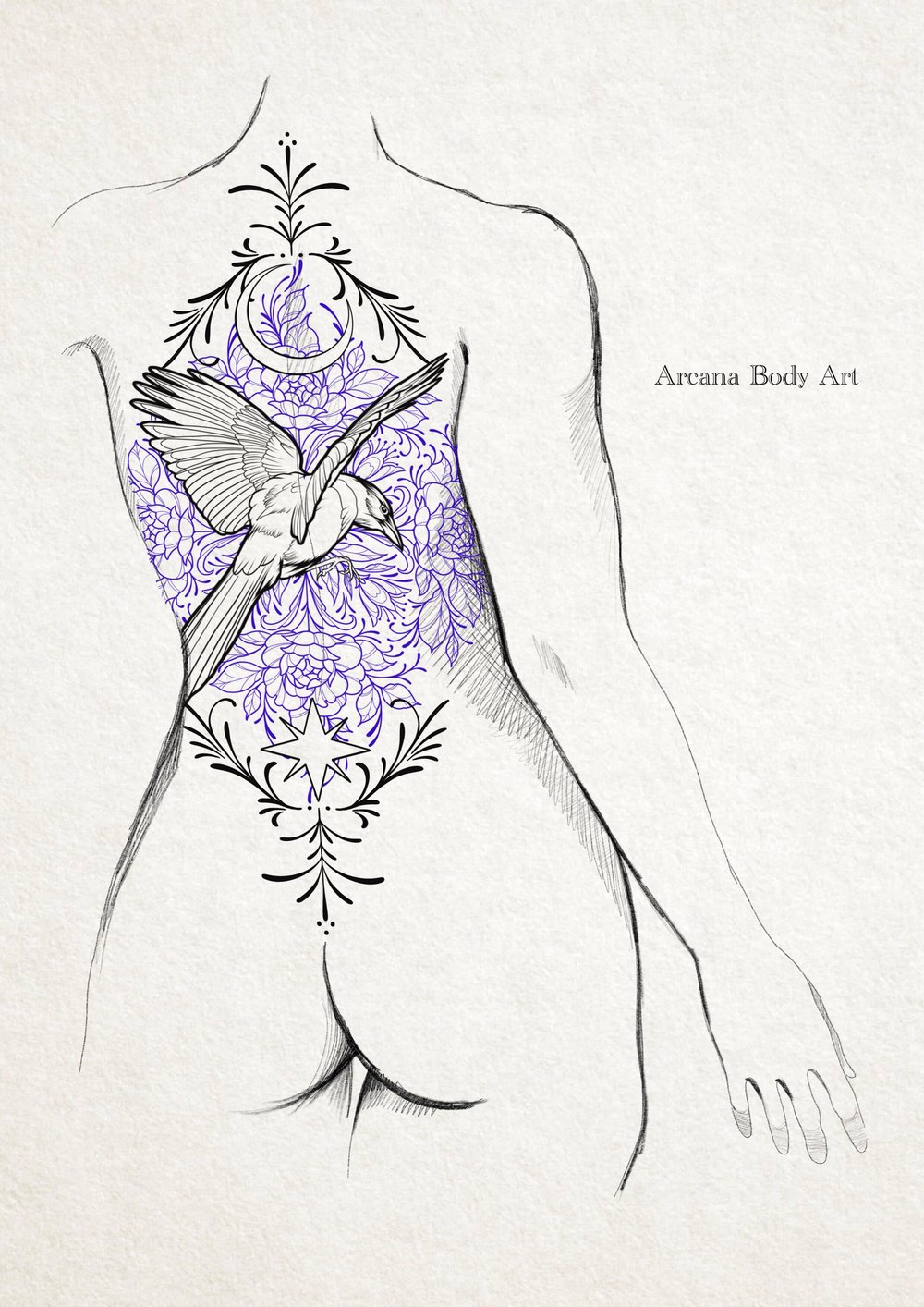 Image of Corbeau Mune Étoile