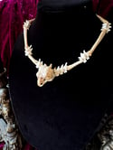 Parakeet Skull - Bone Necklace 