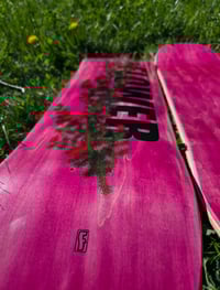 Image 3 of Rose Shrub Board Pink
