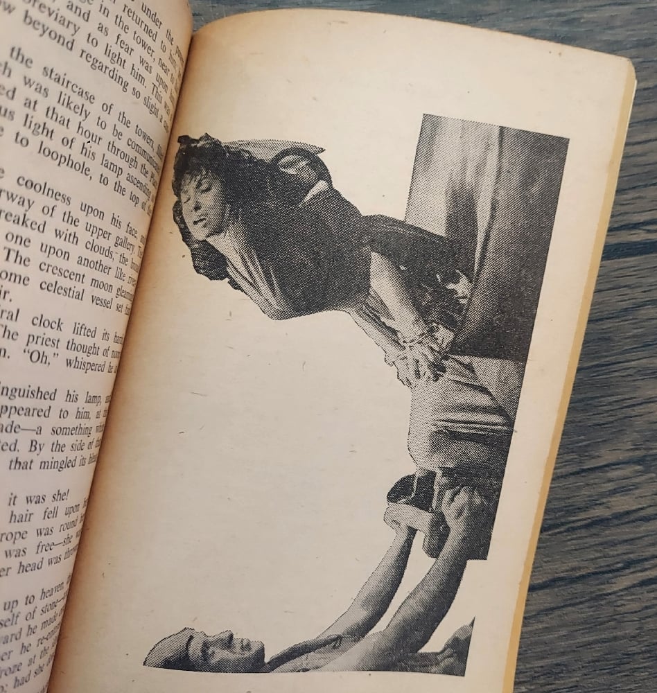 The Hunchback of Notre Dame, by Victor Hugo