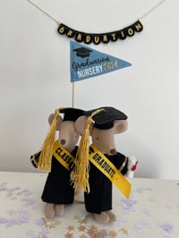 Image 5 of School Collection Mini Flag