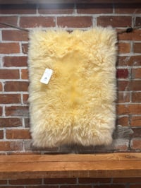 Image 3 of RECTANGLE