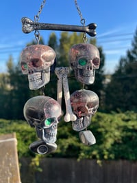 Image 1 of All Seeing Skulls