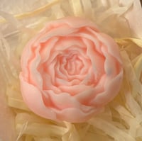 Image 4 of Snug and Bloom trio set