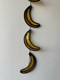 Image 3 of The Bananas