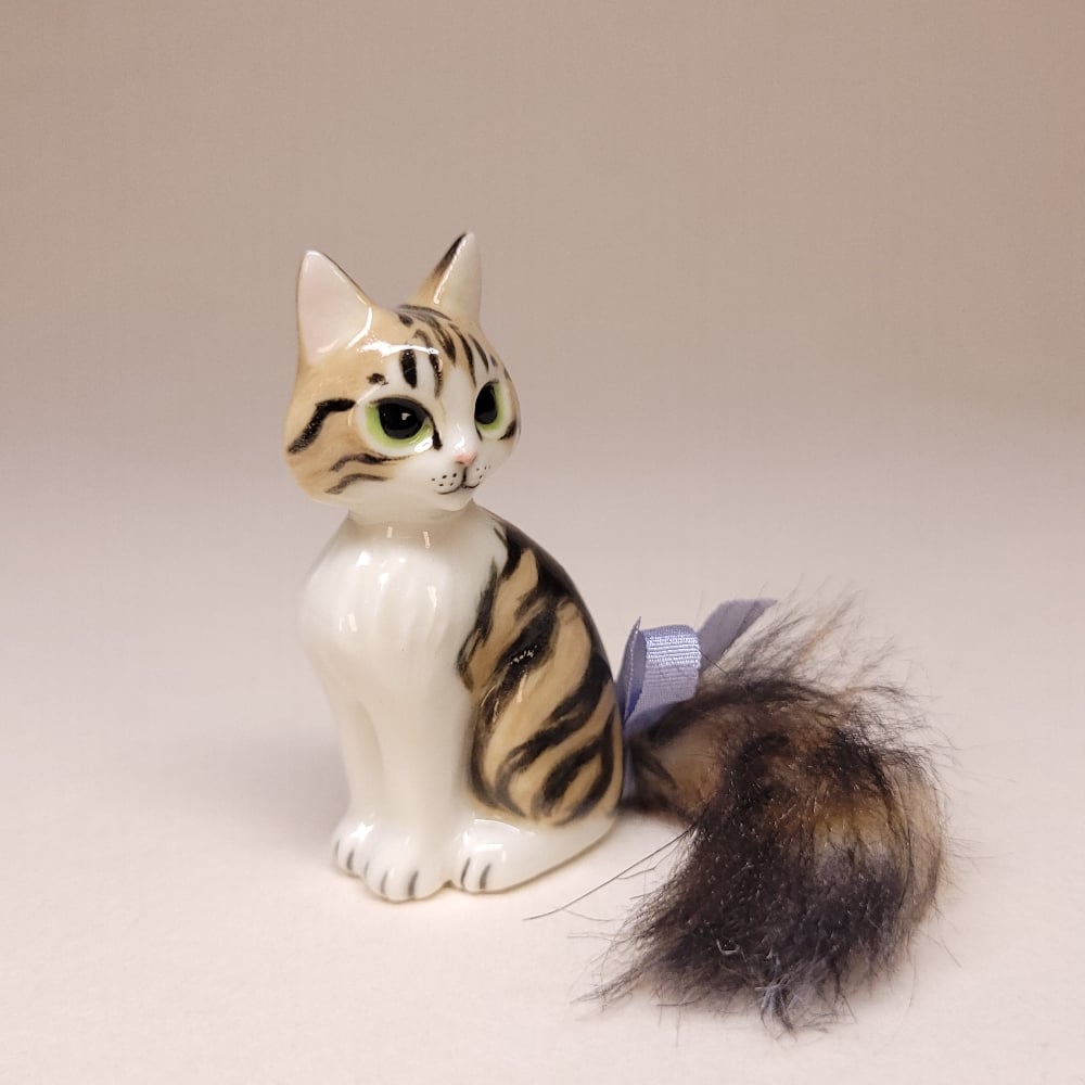 Image of Brown and White Tabby Trinkitty