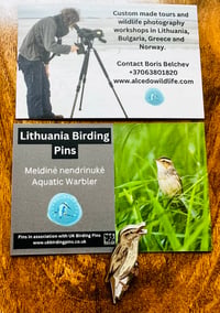 Image 7 of Lithuanian Birding Pins - Choose A Species