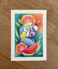 Print Parrot A5