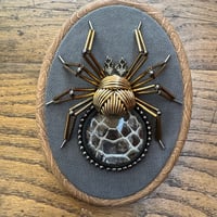 Image 4 of Snake skin spider (a, 4x5 inches)