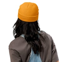 Image 5 of FISHER FRESHZO II