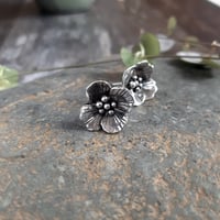 Image 4 of Wallflower Studs