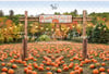 9/18 Pumpkin Farm Minis $50 DEPOSIT 