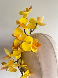 Image 4 of Yellow orchids