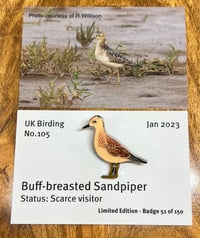 Image 1 of Buff-breasted Sandpiper - No.105 - UK Birding Series